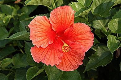 Embark工作室 推出新作《Arc Raiders》 更多消息将于12 月 9 日发布